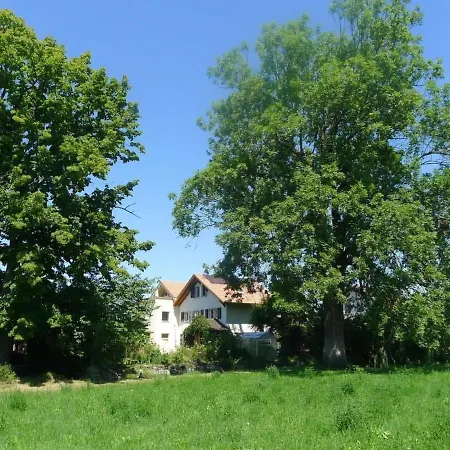Ferienhaus Oase Am Muhlebach Θουν