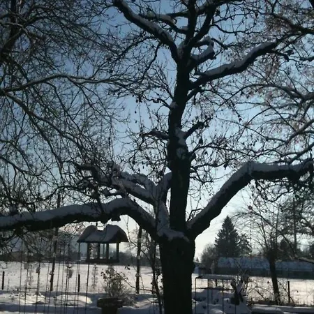 Ferienhaus Oase Am Muhlebach * Θουν