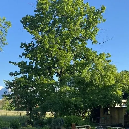 Ferienhaus Oase Am Muhlebach Διαμέρισμα Θουν