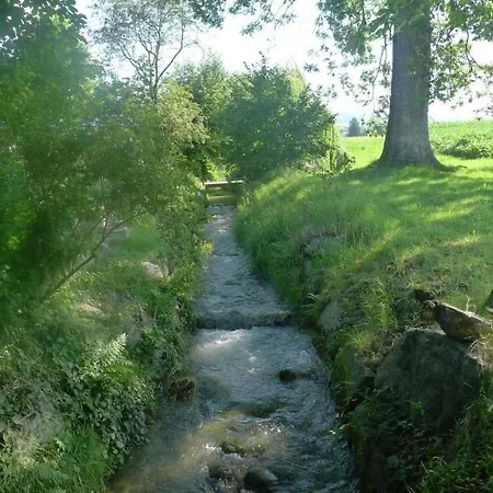 Ferienhaus Oase Am Muhlebach Тун